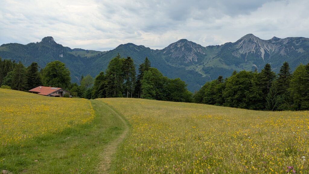 PXL 20250601 091500262 1024x576