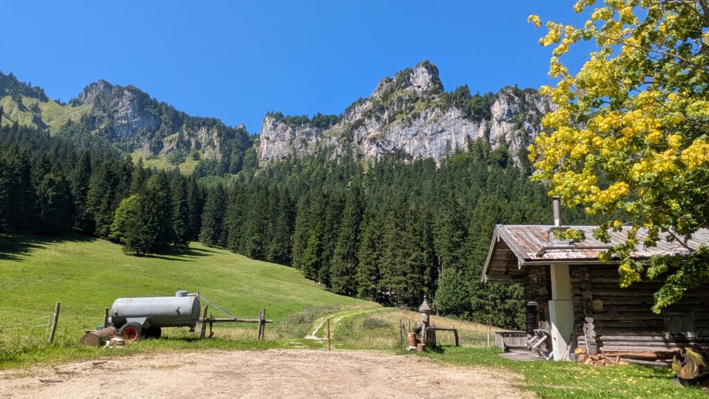 PXL 20250808 101336812 1024x576