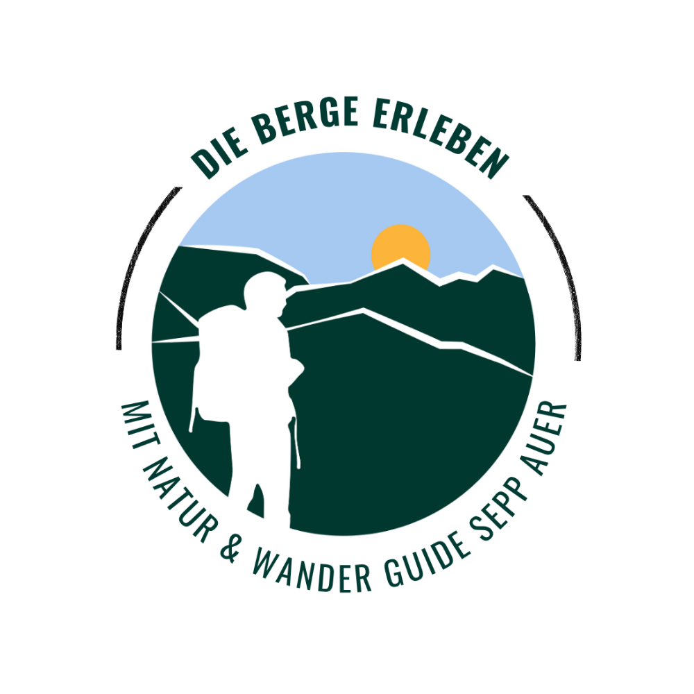 design ohne titel (1)