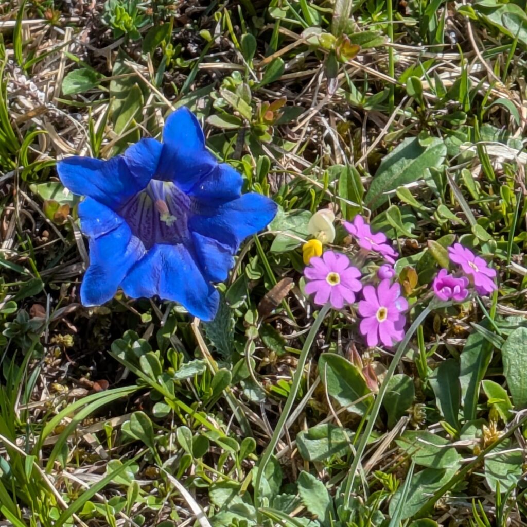 pxl 20250427 102835041