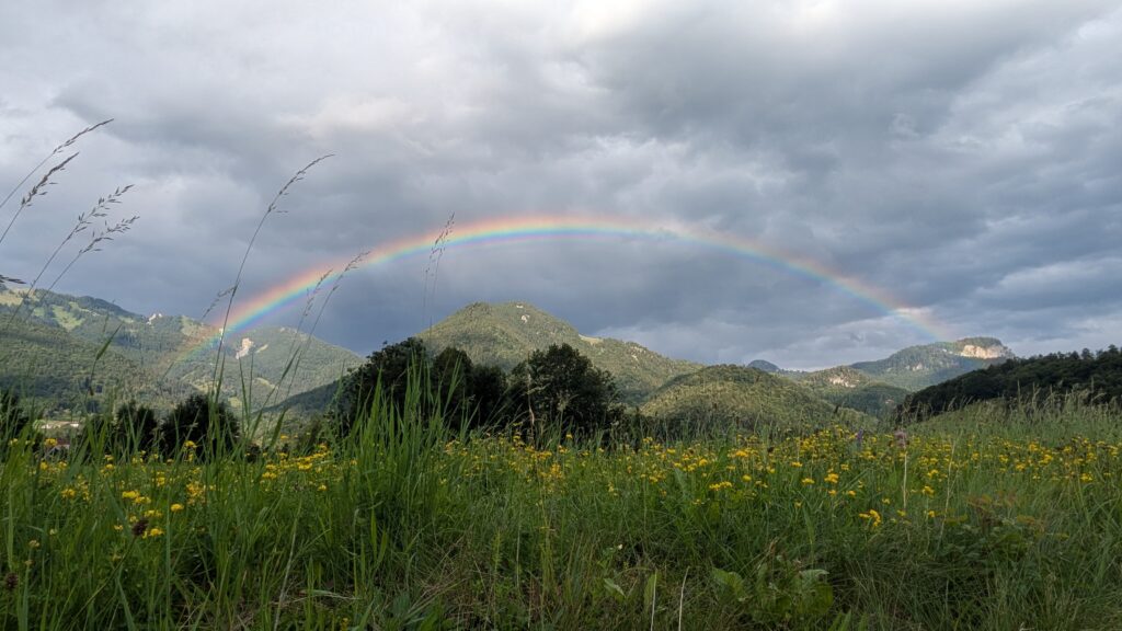 pxl 20250716 164641197