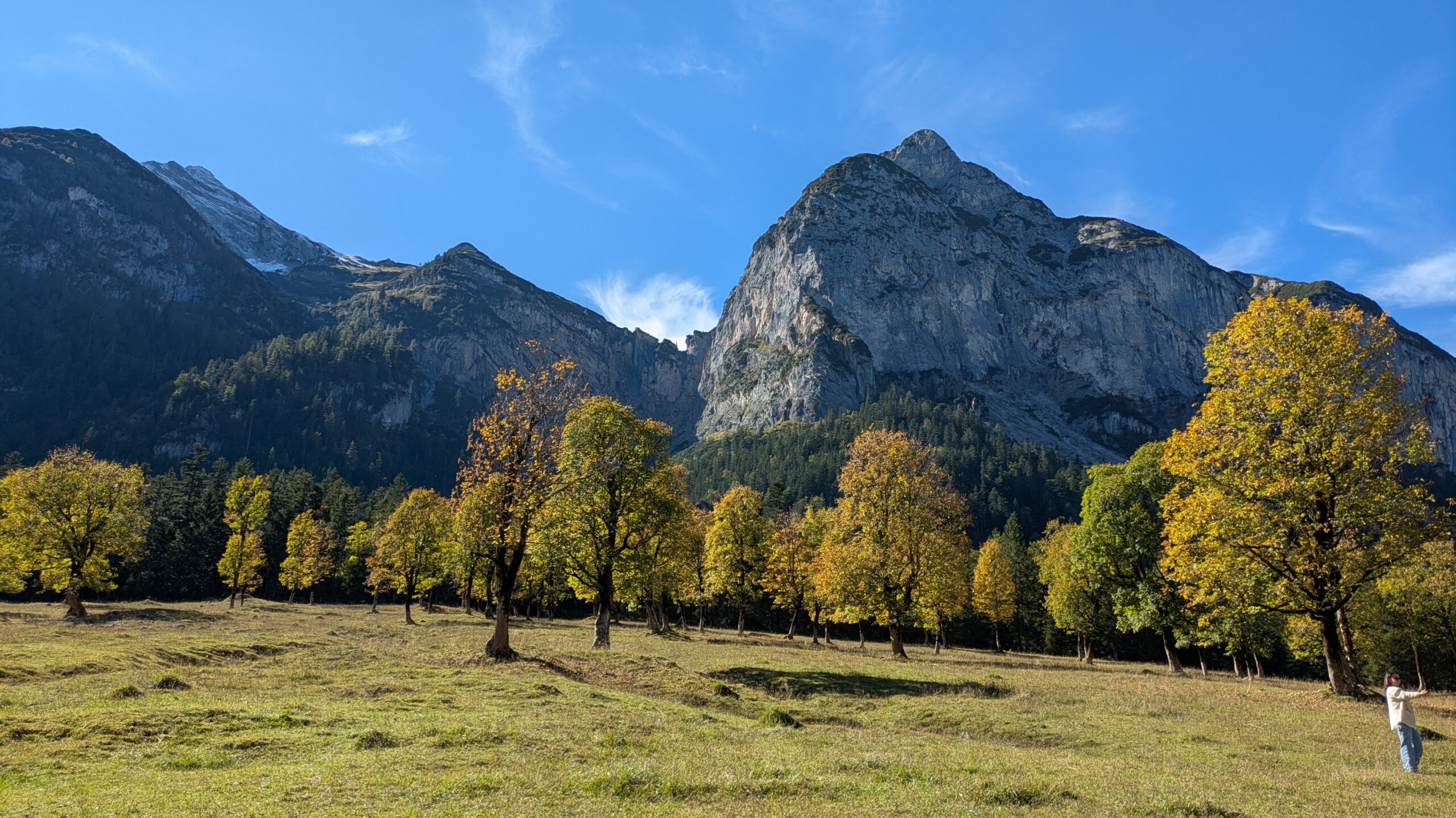 pxl 20251003 120315404 scaled.jpg